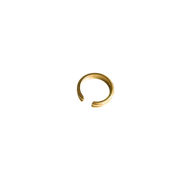 Nausznica ze Zdobieniem Gold